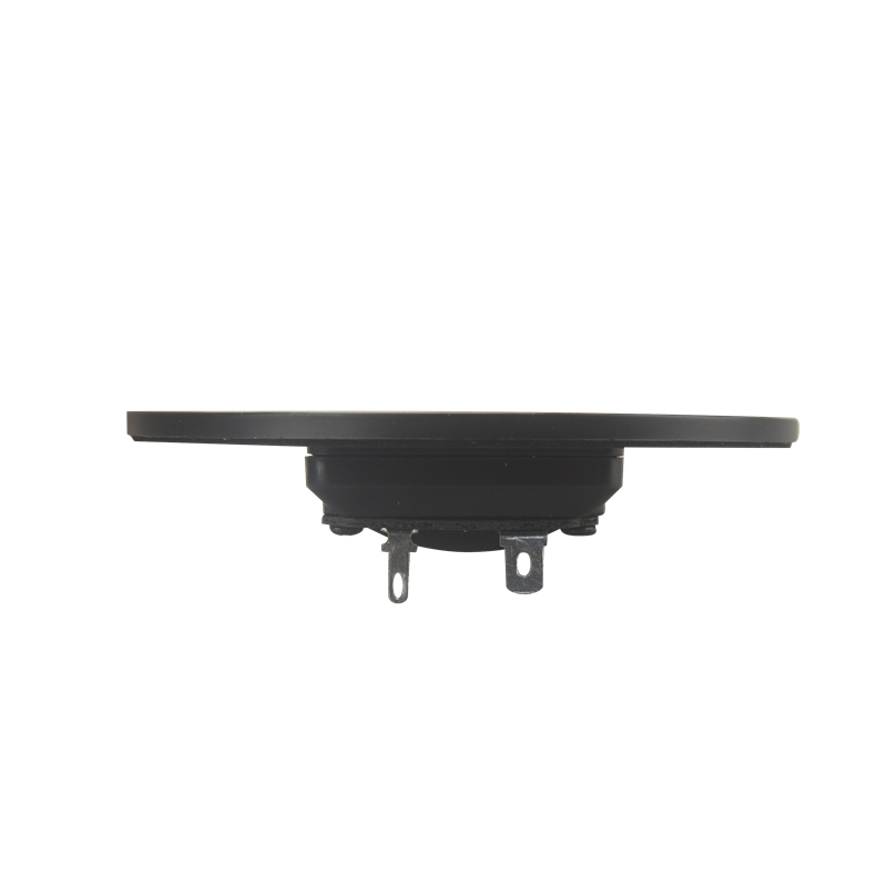 HIFIDIY LIVE hifi unidad de altavoz Tweeter de 4 pulgadas 8 OHM 30W altavoz de agudos AL-100 altavoz alto tipo súper cinturón