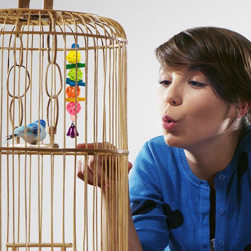 Columpio para aves de juguete, hamaca para loro, campana, juguetes para periquitos, periquitos, cacateles, coneuras y pájaros de amor, paquete de 6 uds.
