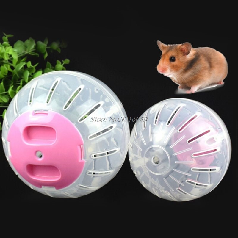Hamster löpning träning hjul boll härligt litet djur chinchillor råtta möss lekplats husdjur leksaker burtillbehör