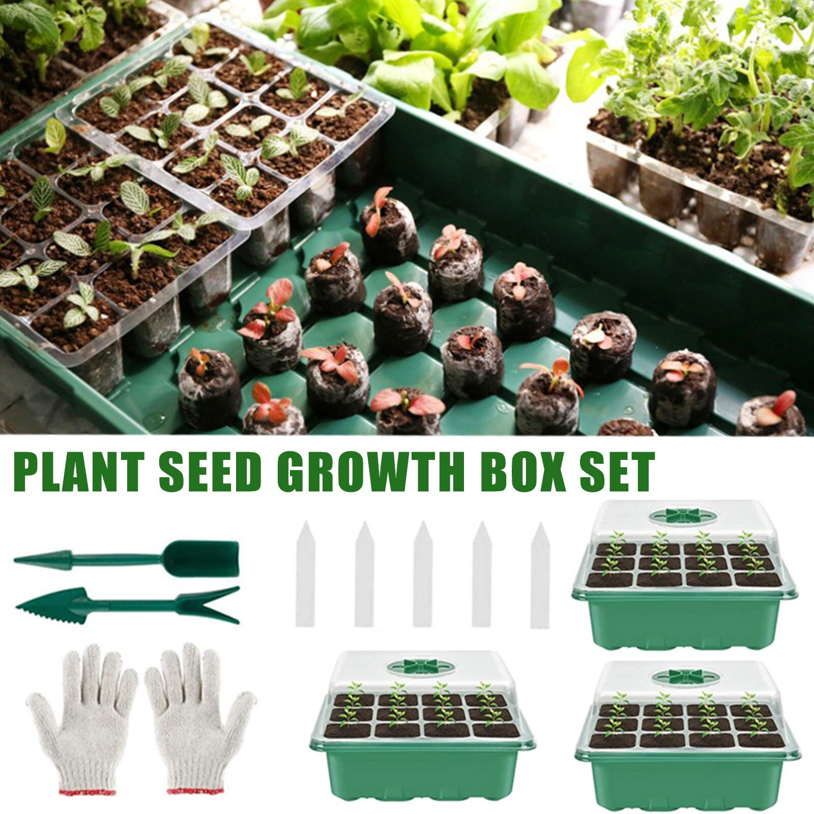 3pc Greenhouse Propagation Box Greenhouse Propagation Tray Indoor Mini Greenhouse Propagation Set With Lid And Ventilation