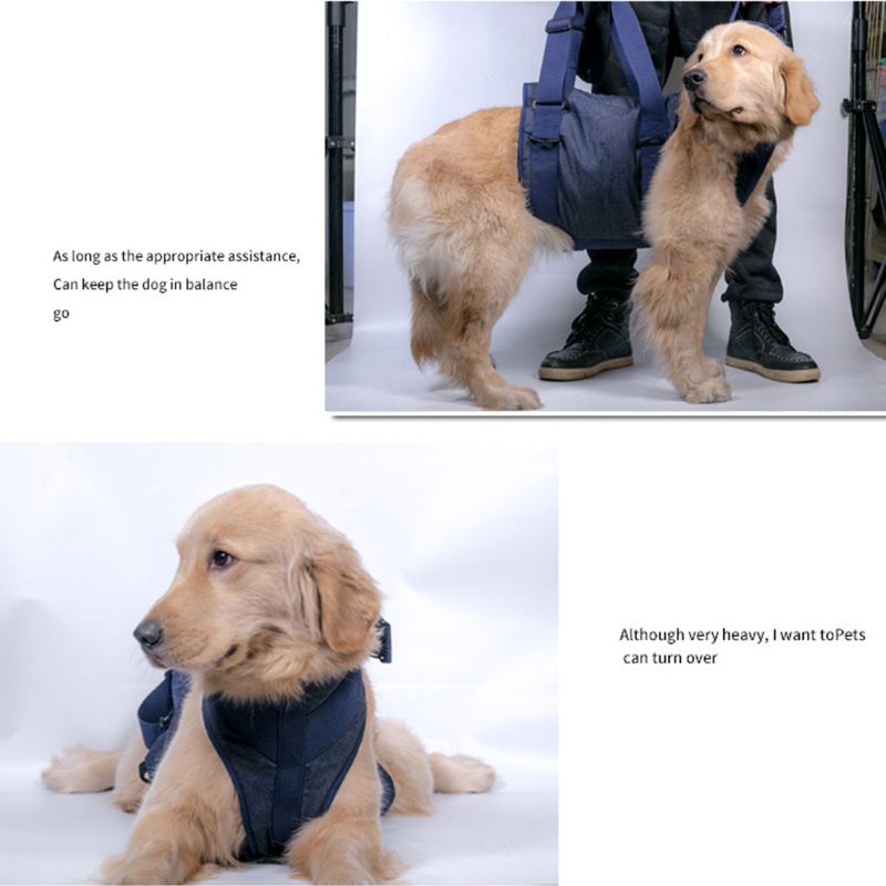 Pet Dog Lifting Harness With Handle Front Rear Set Heavy Duty Dog Vest Harness Assist For Walking Auxiliary Training Senior Dogs