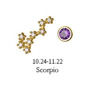 MloveAcc 12 Konstellation Stern Asymmetrie Ohr Studs Kristall Sternzeichen Wassermann Krebs Skorpion Piercing Stud Ohrringe für Frauen Mädchen: Scorpio