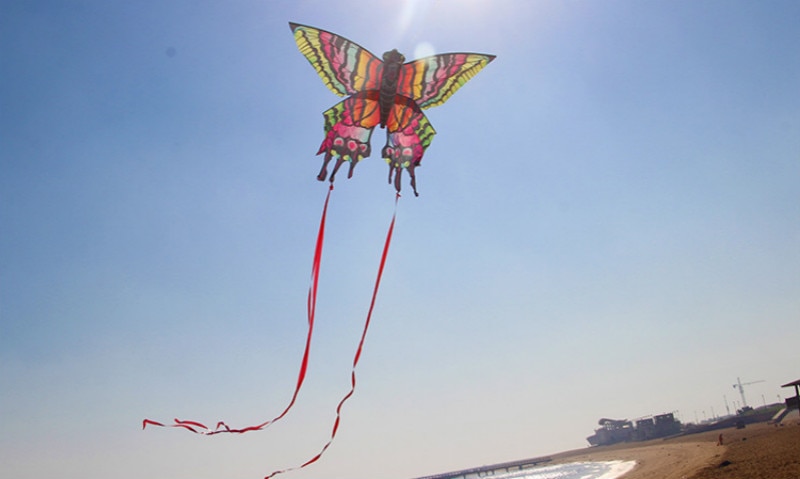 Tabby papillon cerf-volant coloré animal cerf-volant ligne unique longue queue larme sports de plein air jouet volant enfants avec ligne de cerf-volant