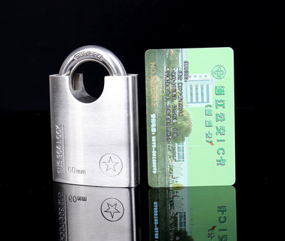 Anti-theft, tamper, waterproof, stainless steel padlocks,so safety security,padlock,door locks 40mm 50mm 60mm: Silver
