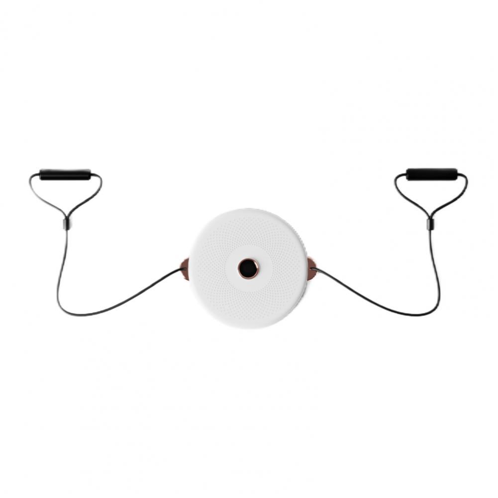 Betrouwbare Taille Roterende Plaat Glad Veilig Gebruik Lichtgewicht Body-Vormgeven Sliming Taille Twister Board: GRAY