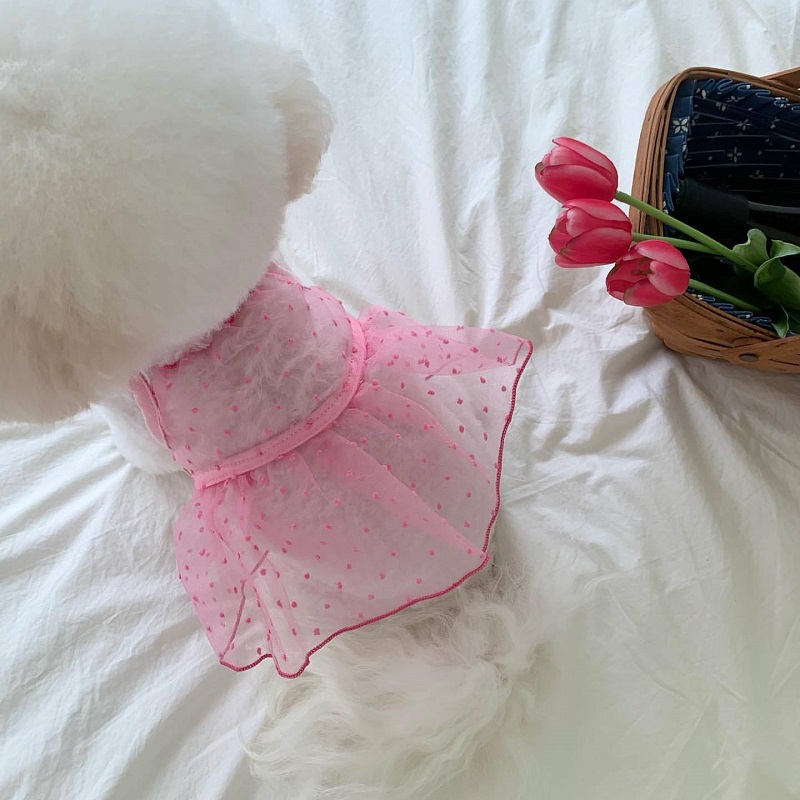 Vestiti rinfrescanti per cani Bretelle per animali domestici Vestito per cani Pizzo traspirante Sottile Gonna per cuccioli chihuahua Bichon Barboncino costume per cani per ragazze 2025 Nuovo: XL / verde