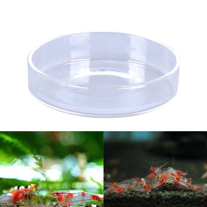 Cuencos de alimentación de cristal transparente para acuario, bandeja alimentadora de comida de gambas para comer, redondo, barato, , 1 unidad