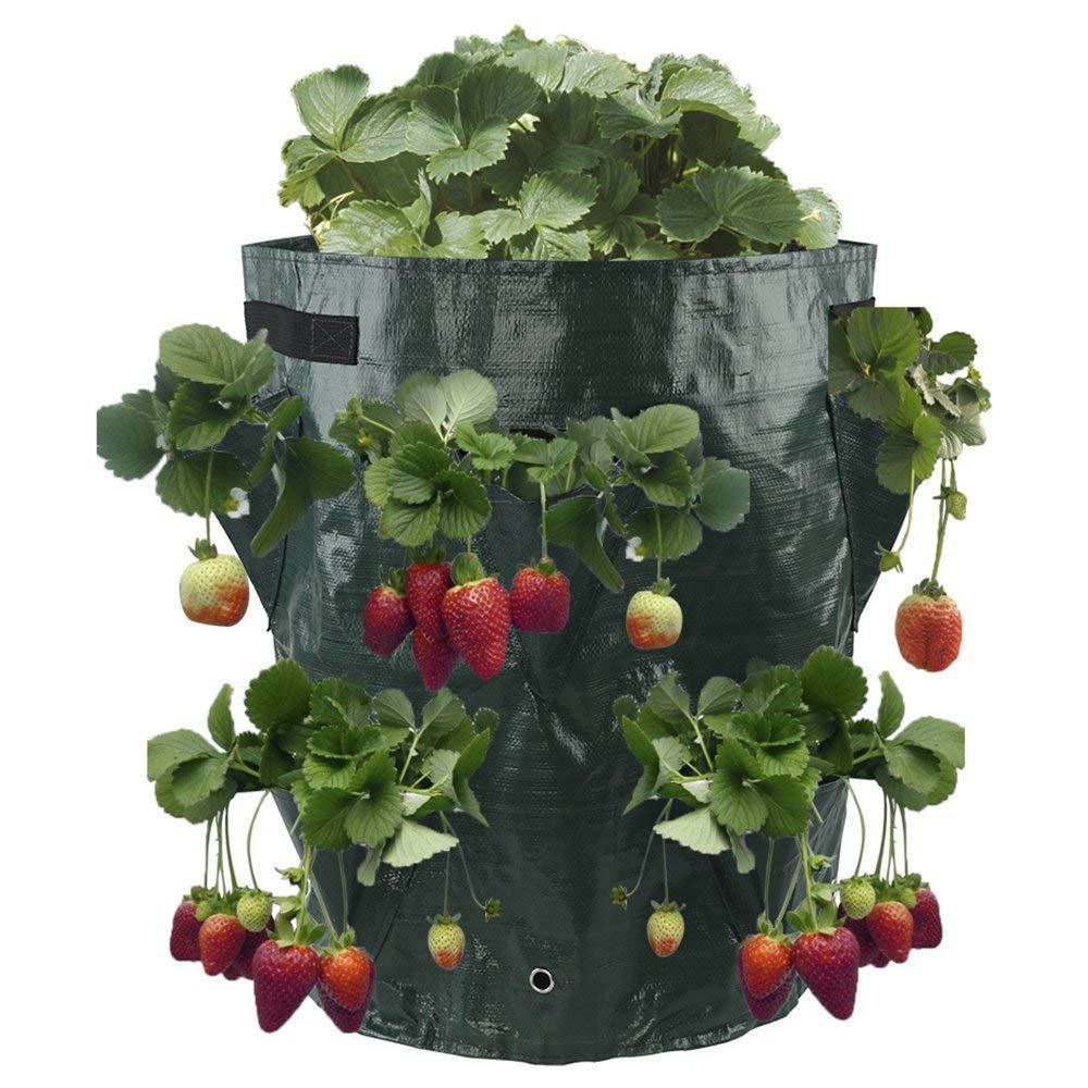 2- pack 10 gallon aardbeienplantzakken voor bloemen, klimplanten, groenten, aardbeienplantcontainer met handvat