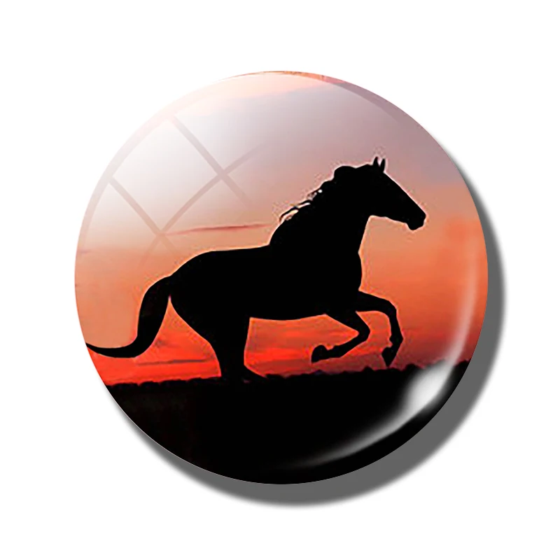 Pferd 30 MM Kühlschrank Magnet Glas Kuppel Cabochon Magnetischen Kühlschrank Aufkleber Hinweis Halfter Nette Tiere Wohnkultur: Marine Blau