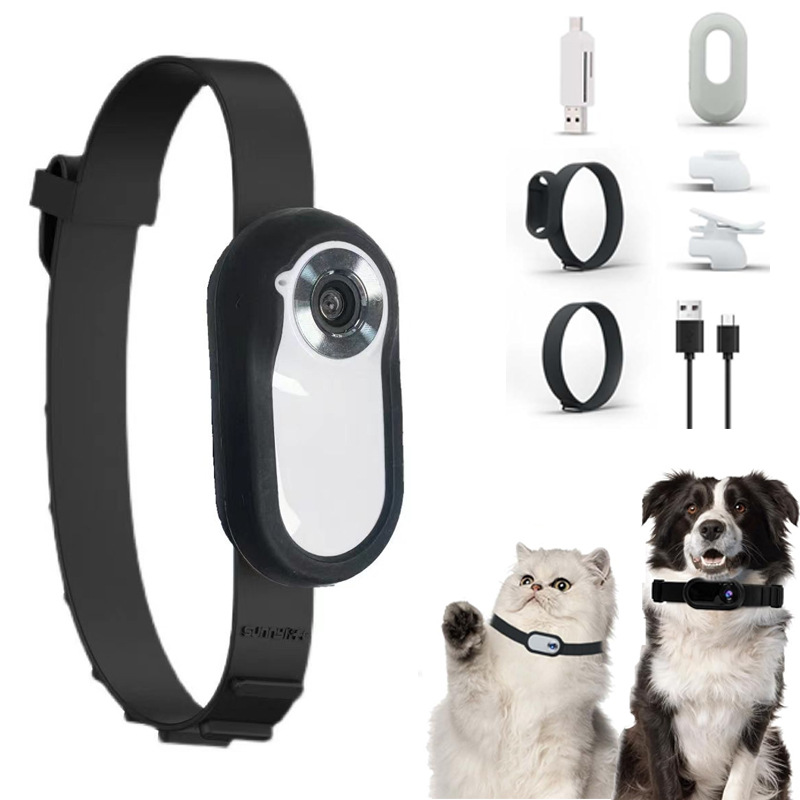 HD 1080P Draadloze Halsband Camera Geen WiFi Nodig Hond Kat Huisdier Camera Kraag Nanny Camera Video Records voor Katten Honden: WHITE