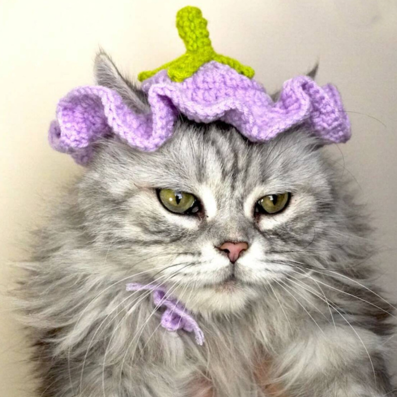 Sombrero de flores, sombrero de ganchillo para gato, perro pequeño, sombrero de berenjena de ganchillo, patrón para gatos y perros, ropa para gatos, accesorios para gatos, traje para mascotas: S / Negro