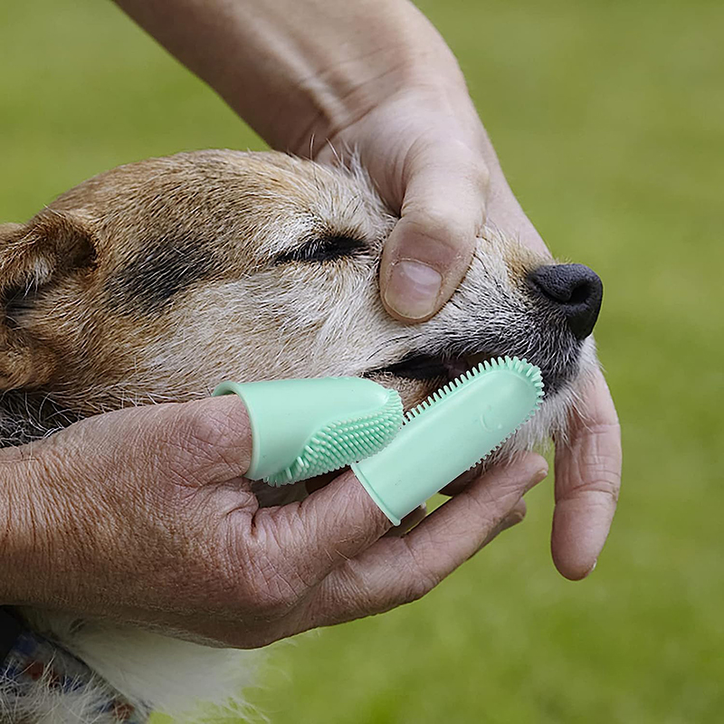 Haustier Finger Zahnbürste Silikon Super weiche Hund Zahnbürsten Zähne Reinigungs werkzeug Mundgeruch Pflege ungiftige Katze Reinigungs mittel