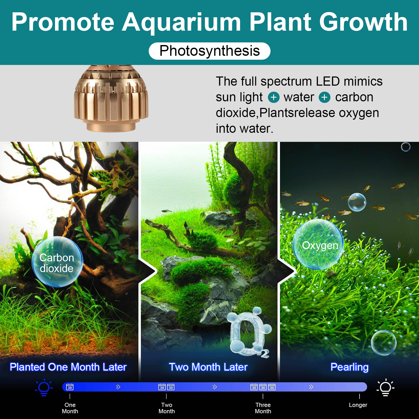 Luces de plantas de cultivo para acuario, luz LED de 3 colores, brillo ajustable, luz de pecera para tanque plantado de agua dulce