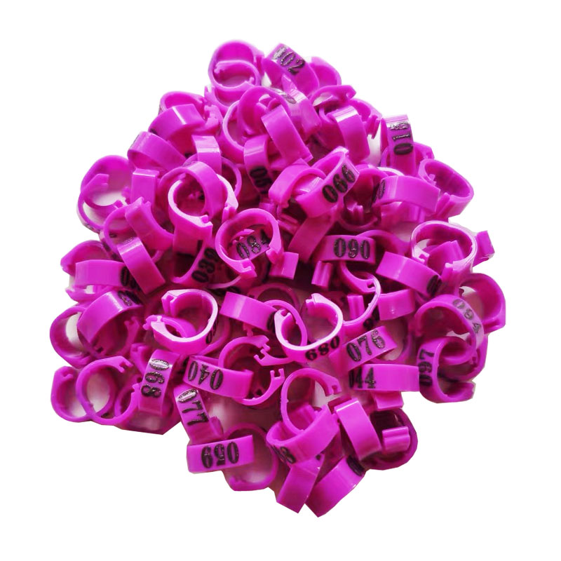 Inner Diameter 8mm Pigeon Leg Bands Poultry Dove Bird Parrot Clip Rings Band Foot Ring Pigeon Supplies Bird Appliances 100 Pcs: Purple