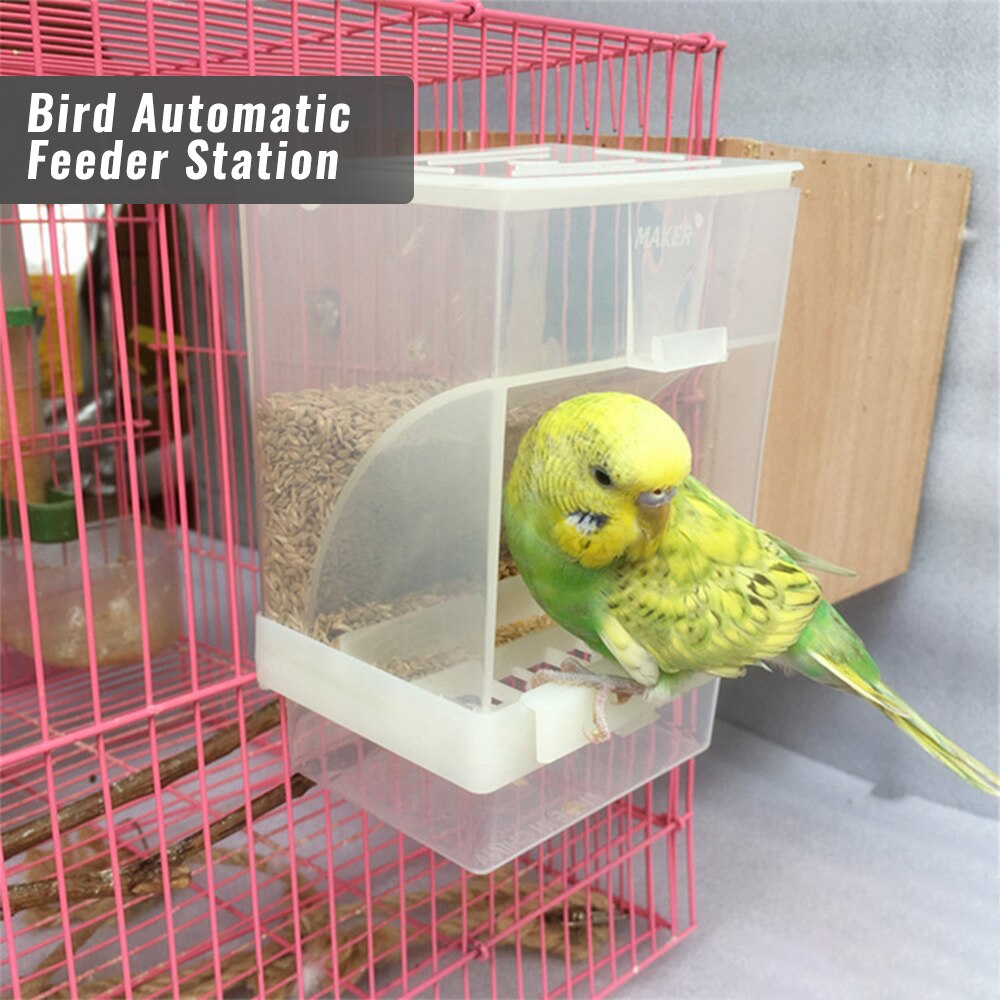 Hanging Style Birds Feeder Birds Food Feeding Device Parrot Toy For House Garden Outdoor Cages: White