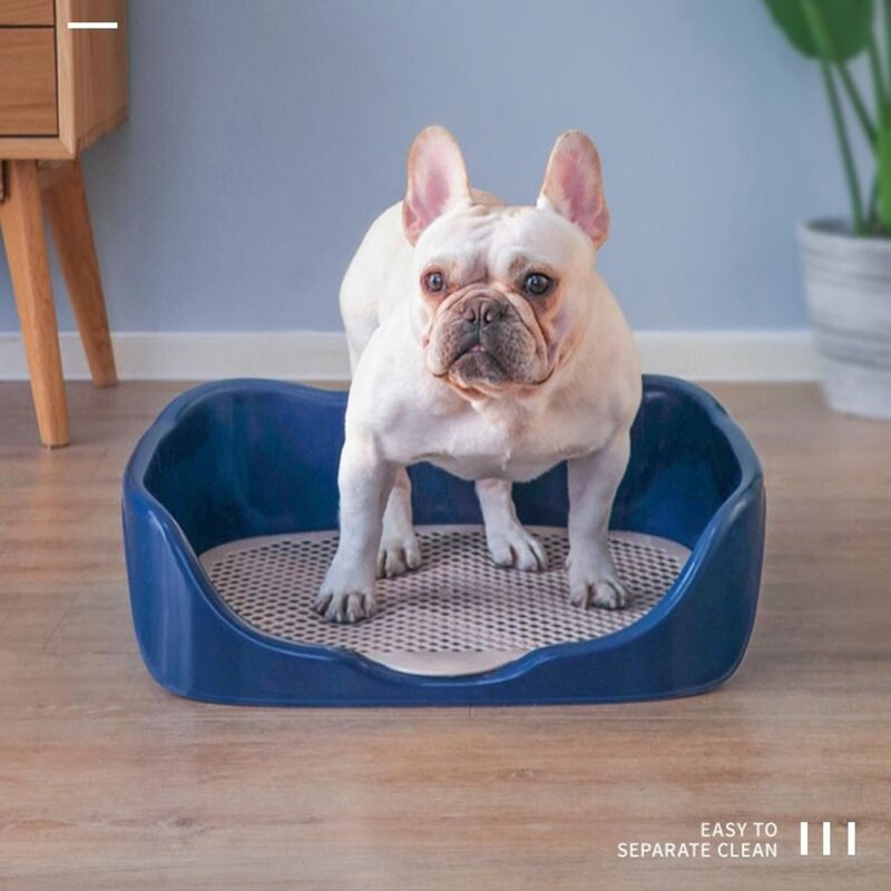 2 Size Draagbare Kat Hond Wc Plastic Training Kitten Konijn Doggy Potten Wastafel Voor Pet Puppy Indoor Poepen Benodigdheden Product