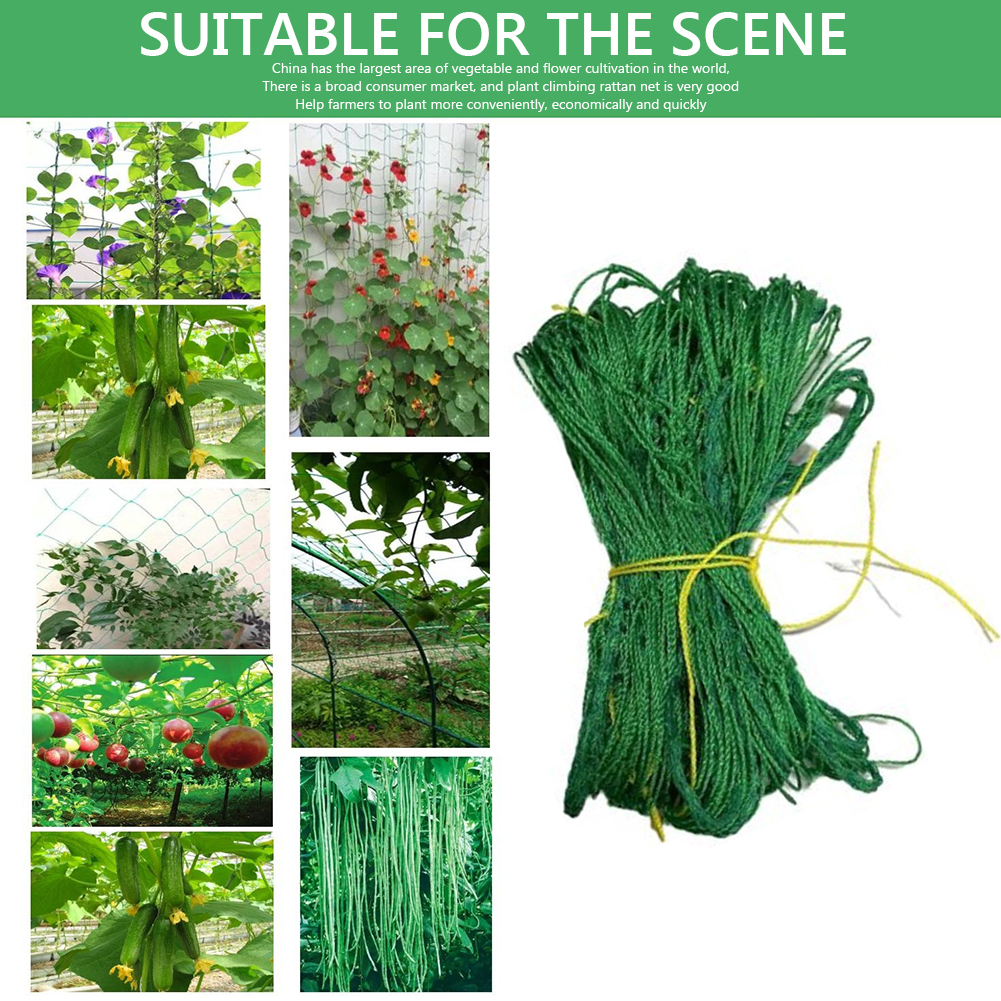 Lattice Net Green Gardening Plant Climbing Frame Mesh Ornaments Flower Vine Holder Mesh Wear-resistant for Cucumbers Watermelons