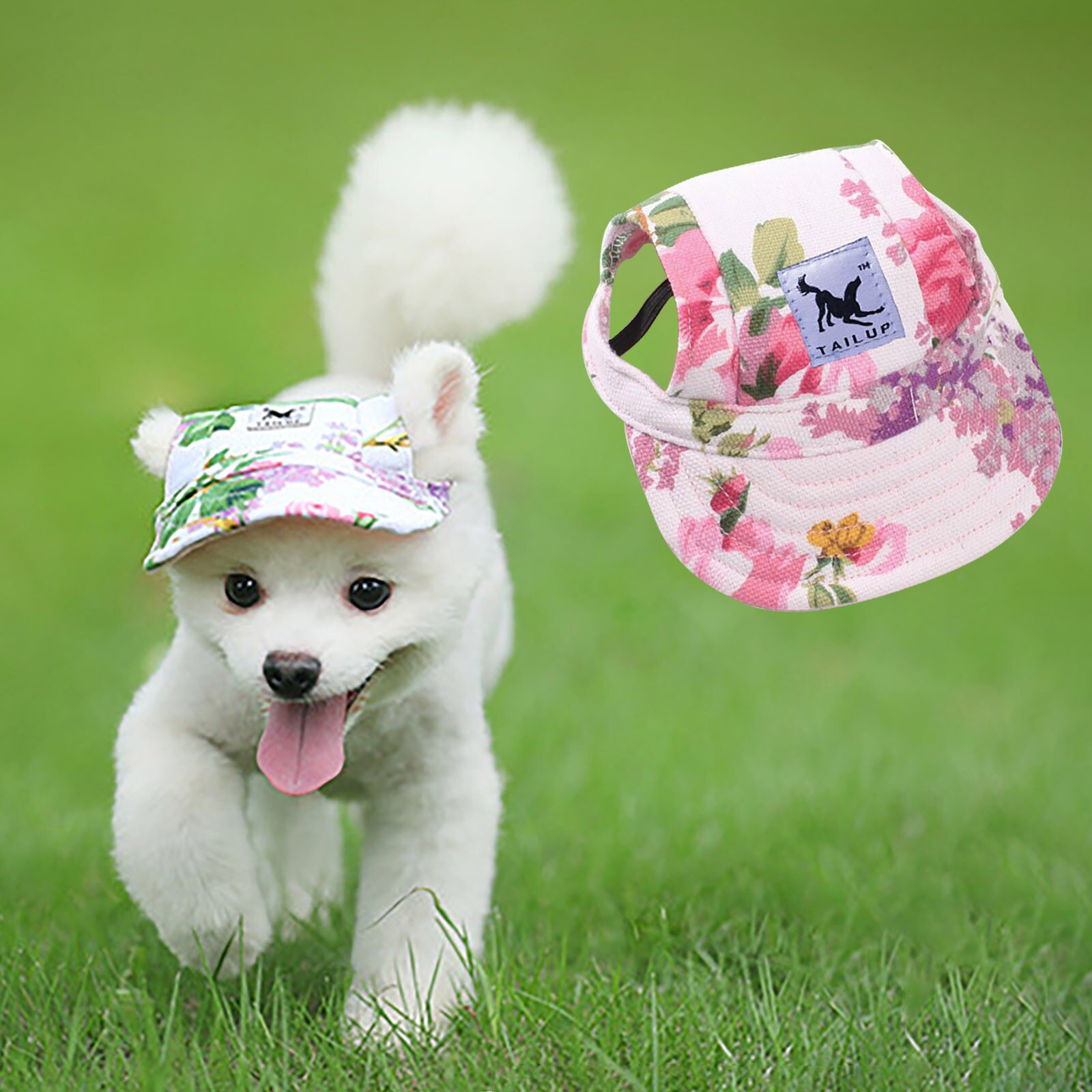 Large Size TAILUP Dog Hat With Ear Holes Summer Canvas Baseball Cap For Small Pet Dog Accessories Hiking Pet Products