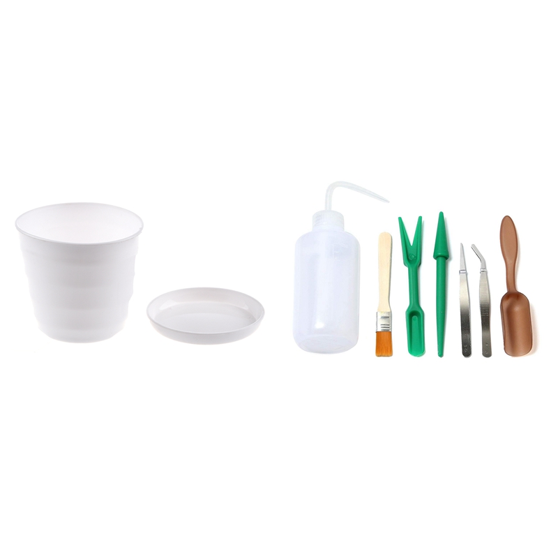 CHICAN Mini Garten Werkzeuge Set – 3-teilig Für Sukkulenten & Bonsai