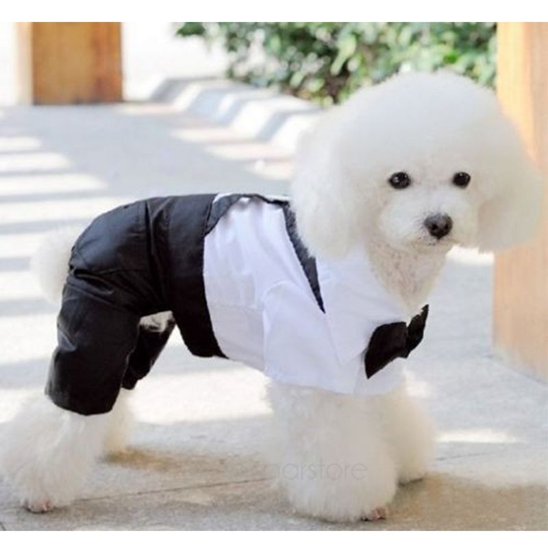 Smuk hundetøj tøj formel hundejakkedragt med sløjfe brudgom smoking kæledyr kostumer størrelse s, m, l, xl