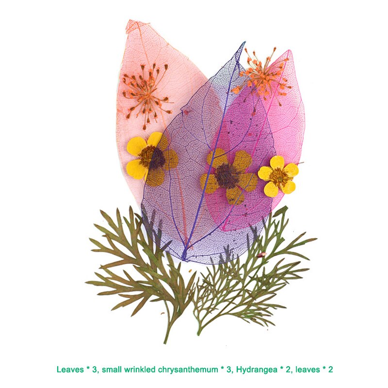 Pressed Flower Mixed Dried Flowers DIY Art Floral Decors Collection Craft DIY B99: a-13