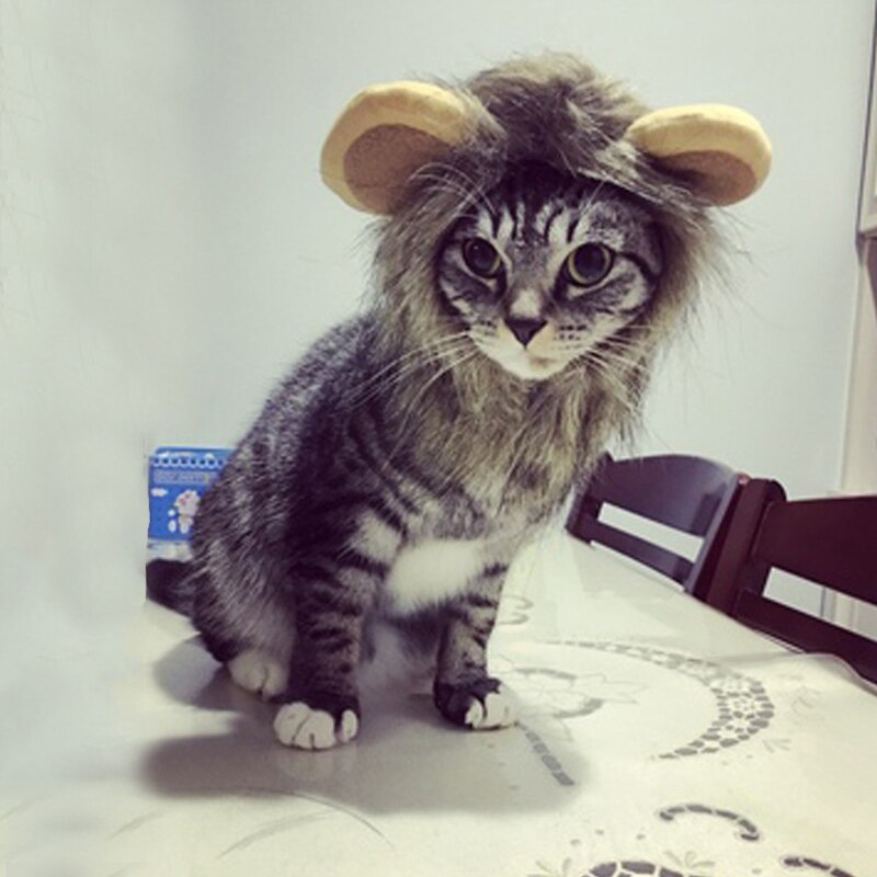 Offre Spéciale animal de compagnie chat chien habiller Costume émulation Lion cheveux crinière oreilles tête chapeau automne hiver silencieux écharpe produits pour animaux de compagnie: M