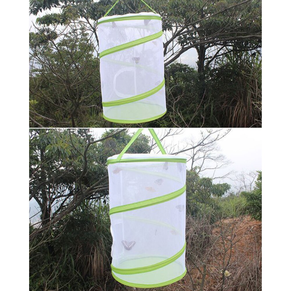 Mini Butterfly Housing Habitat Insect Mesh Cage Bug Terrarium Praying Mantis Stick Insect Butterfly Cylindrical Popup Cage