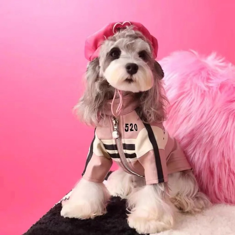 Kurtki dla psów zimowe ubrania Yorkshire sznaucer miś płaszcz dla psa ubrania dla szczeniąt projektant mody zimowe ubrania dla szczeniąt