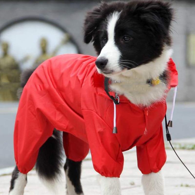 Chubasquero para perros pequeños todo incluido, ropa impermeable para perros cachorros, abrigo para exteriores, chaqueta de lluvia para perrito de Mascota, poncho de perro mediano