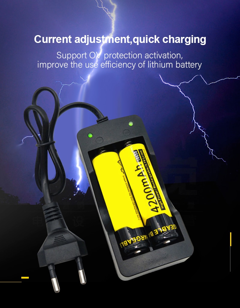 VOXLINK 18650 chargeur de batterie EU 2 fentes chargeur de batterie Rechargeable Li-ion de charge intelligente