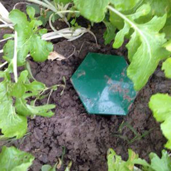 6 Pcs Snail Traps Garden and Vegetable Garden Snail Traps Sanitation and Convenience Physically Killing Snail Cages