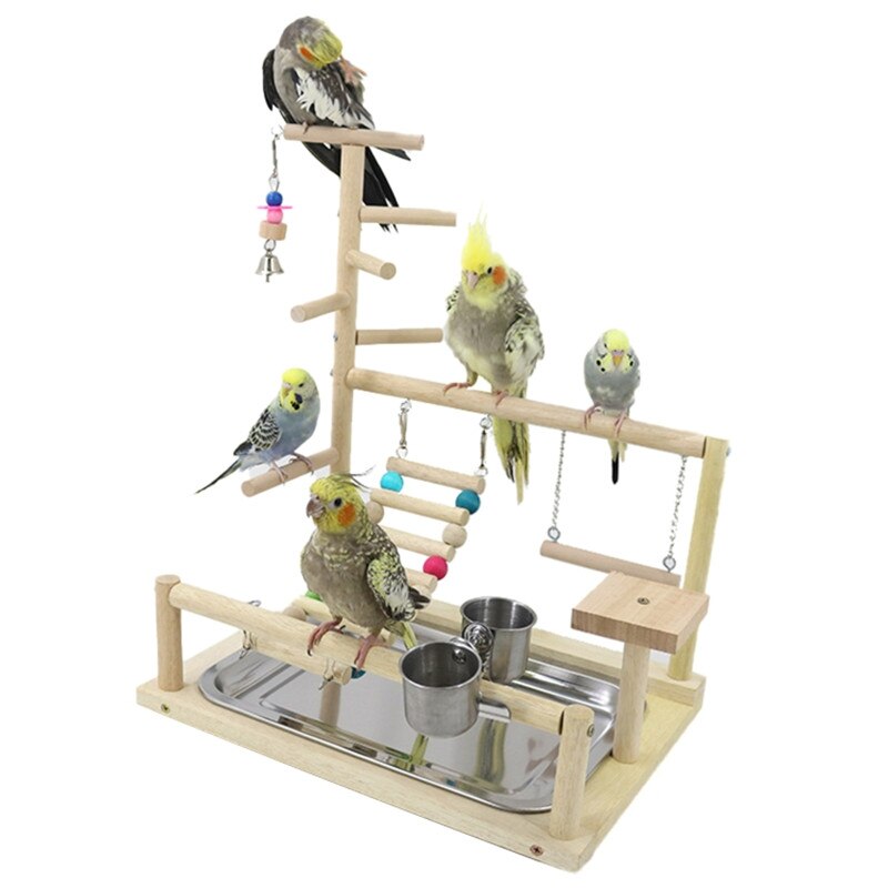 Support pour perchoir à oiseaux, jouets pour perroquets, exercice, mangeoire, Center d&#39;activité pour les oiseaux, perroquet, Conure, Cockatiel