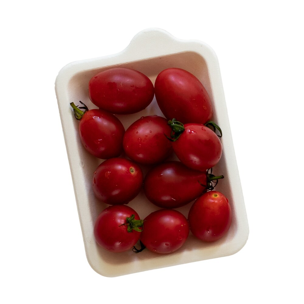 25PCS Rectangle Disposable Cake Paper Plate Food Grade Paper Plate Restaurant Plates For Birthday Banquet