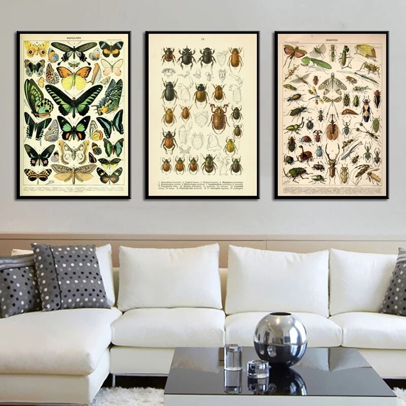 Vintage style toile peinture affiche insecte spécimen peinture de décoration Kraft papier affiche pas de cadre