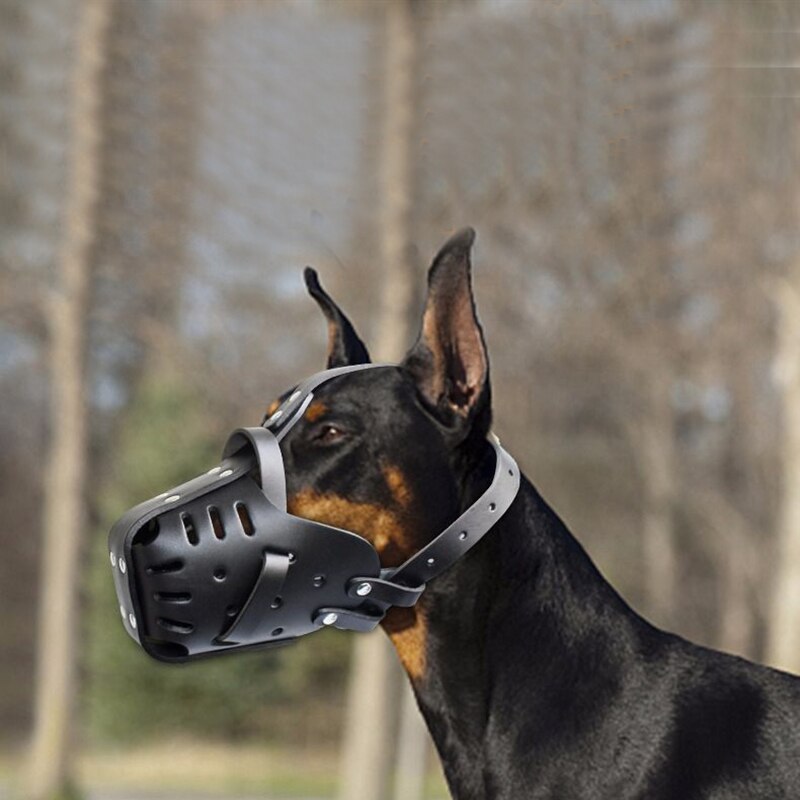 Basket Muzzle For Bulldog Muzzle German Shepherd Muzzle Dog Muzzle To Stop Eating Everything Homemade Dog Muzzle For Barking