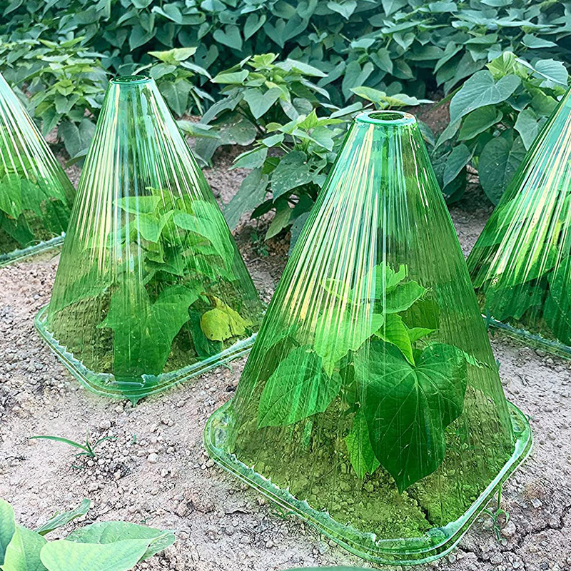 10 stücke Wachstums box Pflanz zelt wieder verwendbares Quadrat Pflanzen uhr Abdeckung verwenden, um Pflanzen vor Vogel frost und Schnecken schaden grün zu schützen