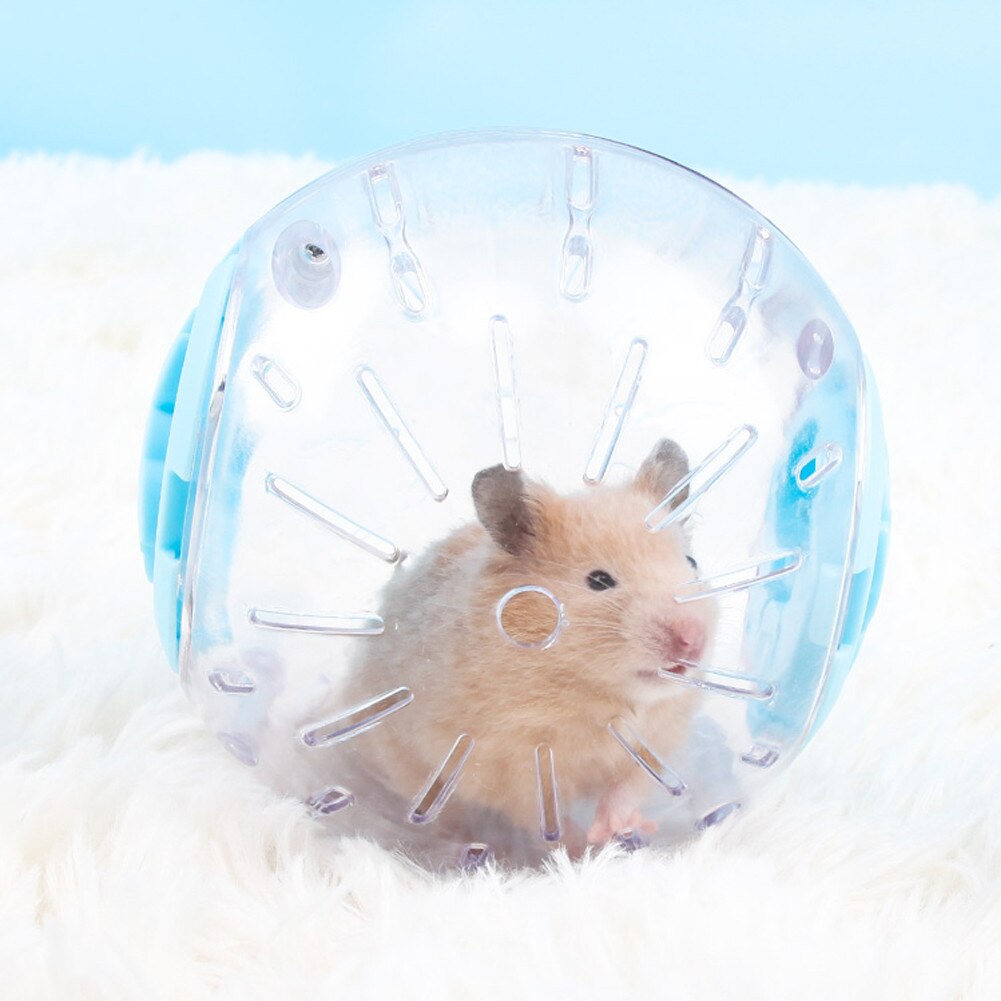 Plastik draussen Sport Ball Grounder Ratte klein Haustier Nagetier Mäuse Joggen Ball Spielzeug Hamster Rennmaus Ratte Übung Bälle abspielen Spielzeuge