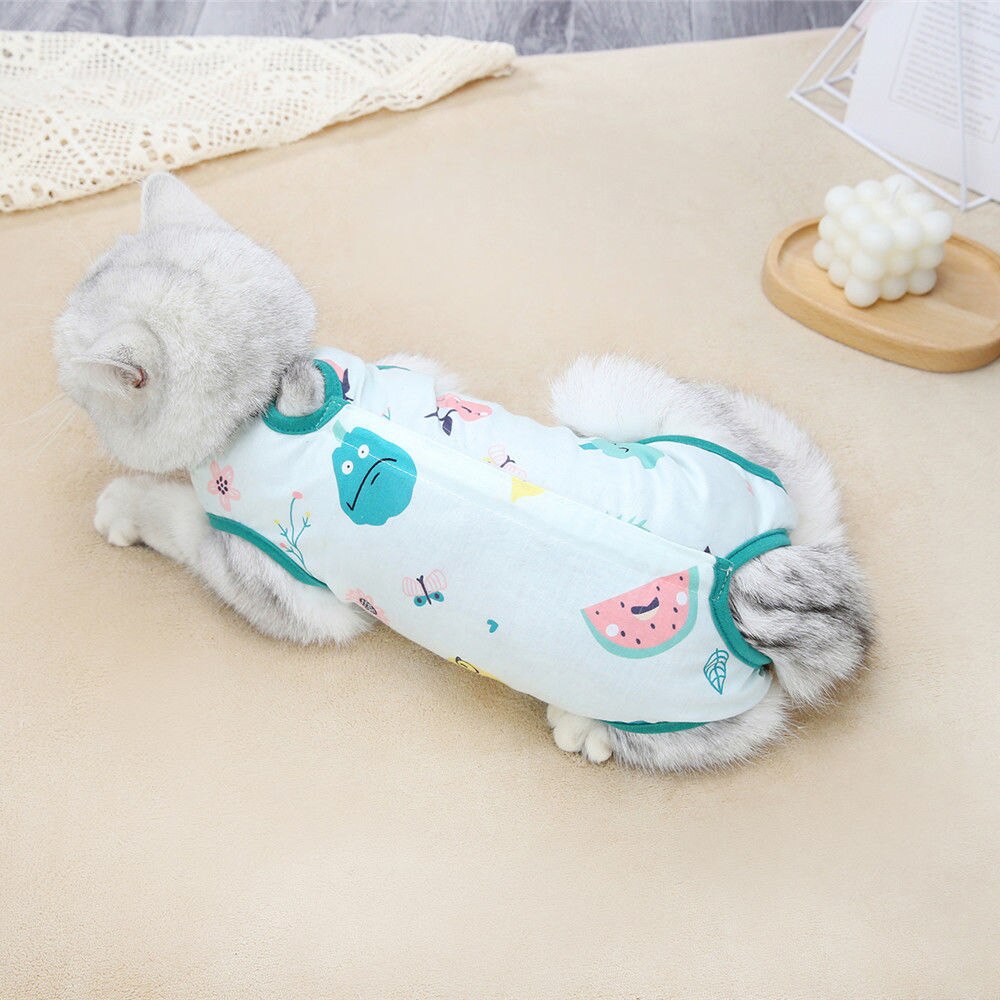 Bata quirúrgica de gato para mujer, ropa de esterilización para mascotas, antipérdida de pelo, suministros para mascotas
