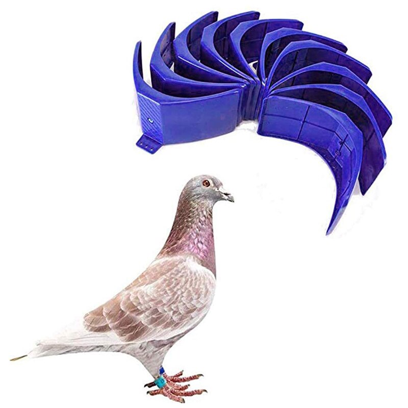 10 supports à pigeons, support à pigeons en plastique, support à pigeons, pigeonnier, fournitures pour oiseaux (bleu)