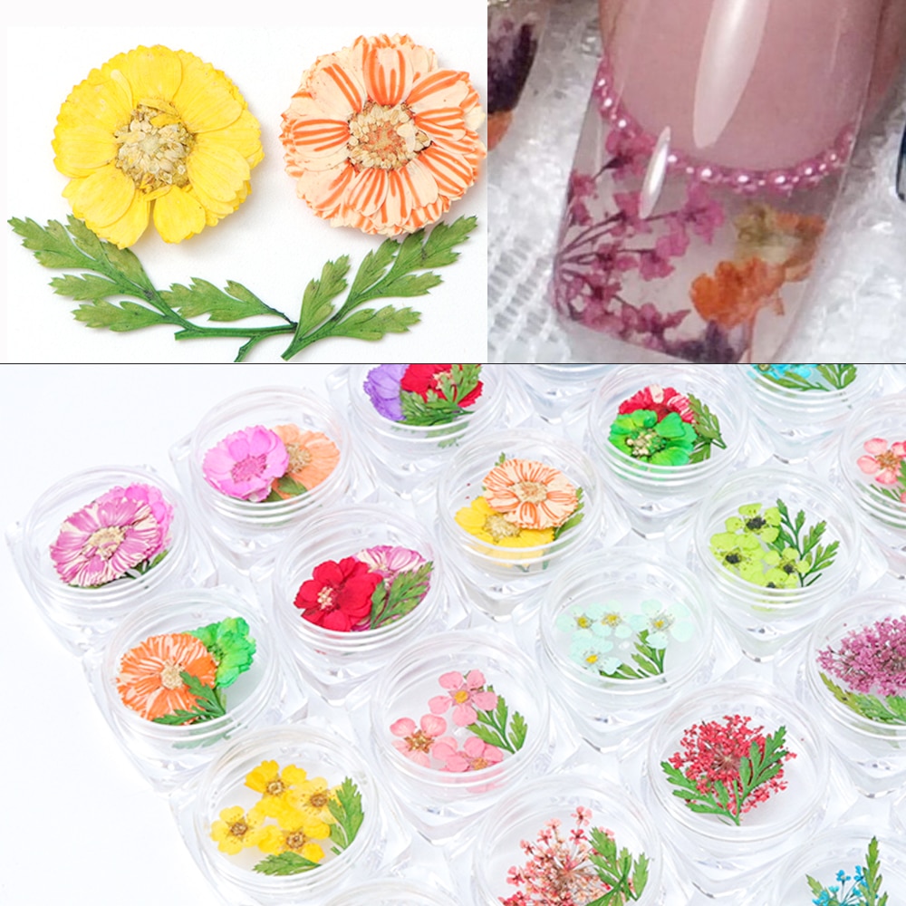 24 Types Beschikbaar Real 3D Droge Bloemen Nail Decoraties Zomer Mode Acryl Natuurlijke Bloemen DIY Nail Art Stickers Tips TR1559