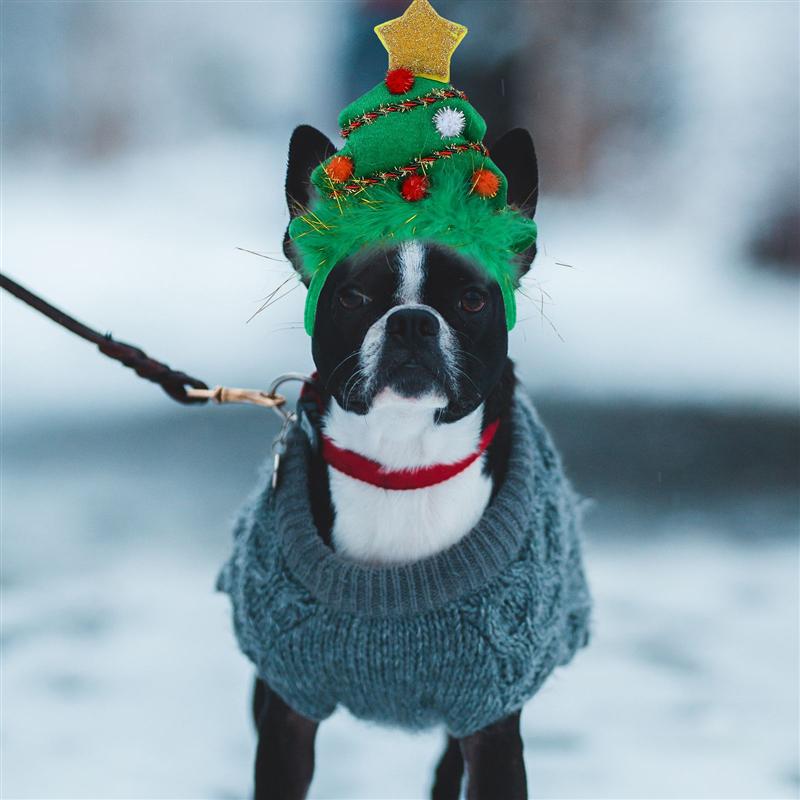 dog christmas headband