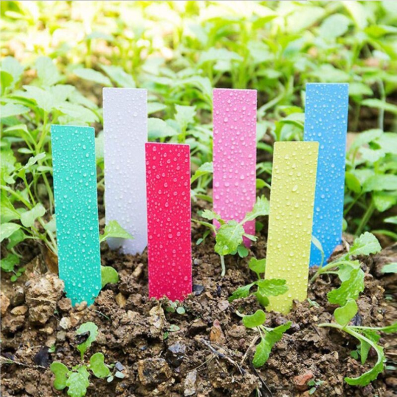 100/20 Pcs Gardening Plant Label Waterproof Plant Markers Plastic Insert Ground Card T shaped Plant Sign