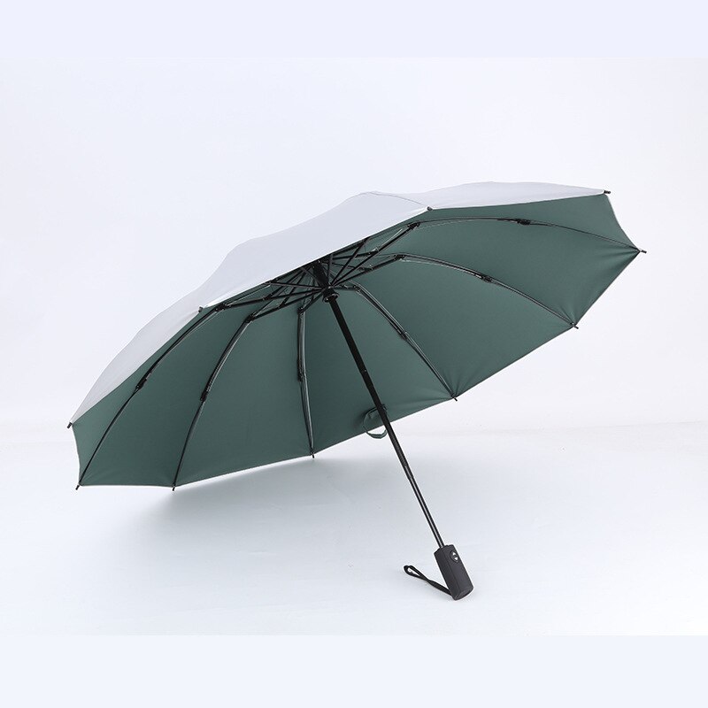 Inverted Windproof Umbrella with Coating,10 Ribs Auto Open & Close Travel Umbrella,Portable Reverse Outdoor sun Umbrellas: 12