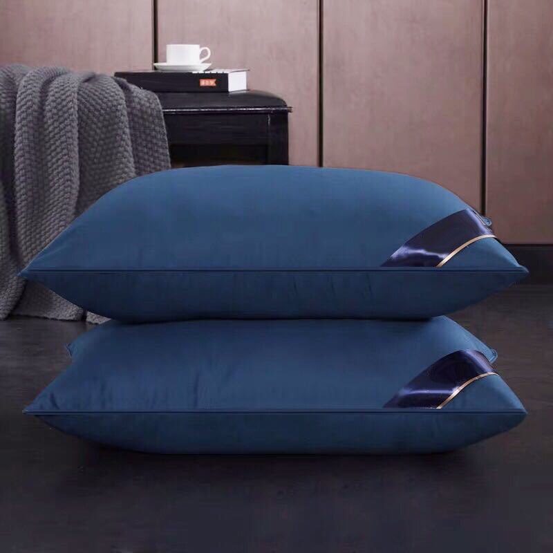 Kussen Kern Wasbaar Hoge Hypoallergeen Feather Gezonde Slaap Stand Voor Slaapkamer Thuis Textiel Comfortabele Rebound: Clear