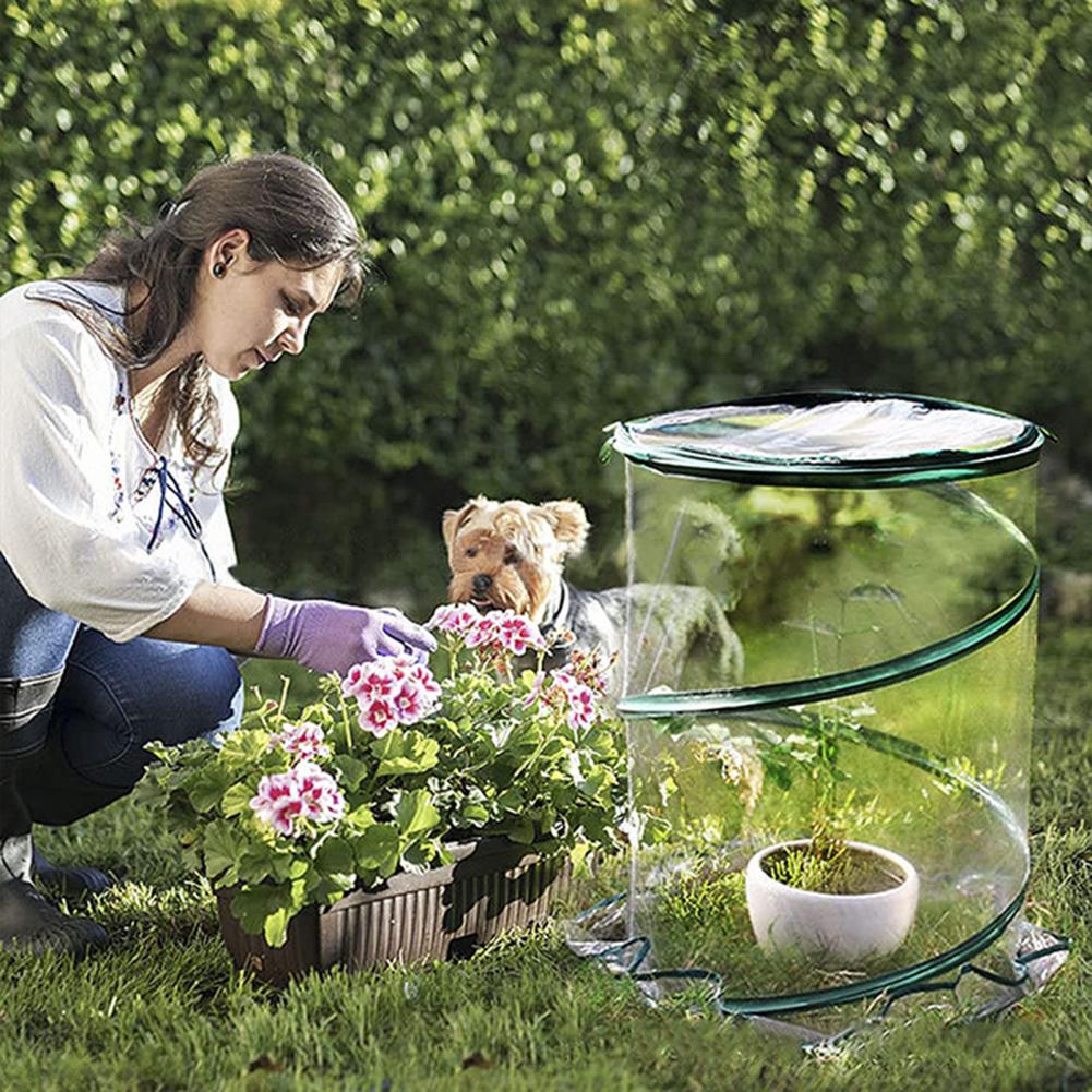 Mini tente pour plantes, antigel, imperméable, facile à installer, abri pour fleurs