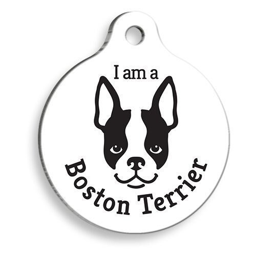 Bracelet rond pour chien Boston Terrier, blanc