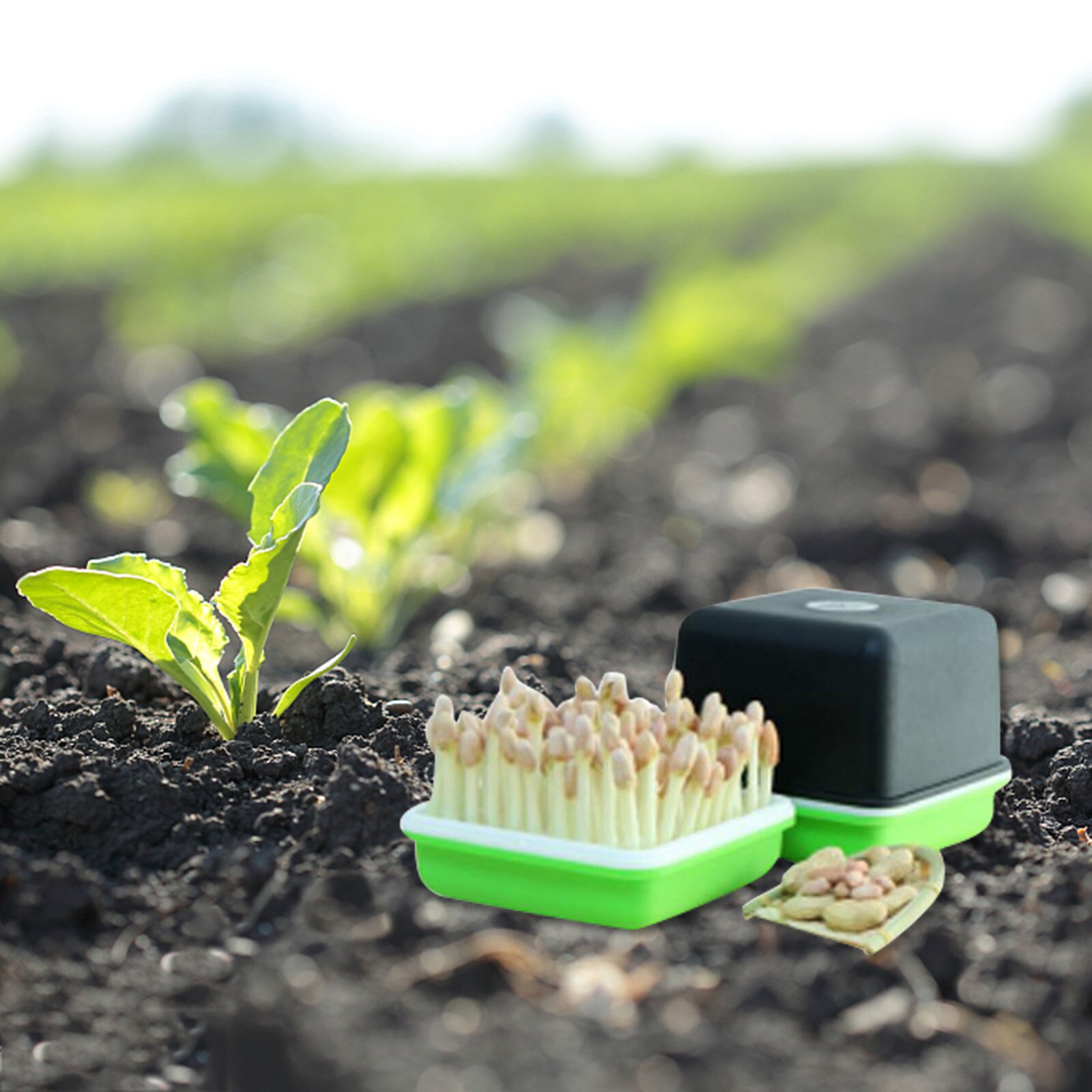 Seed Sprout Tray Growing Planter Sprout Box Permanent Hydroponics Seed Germinati