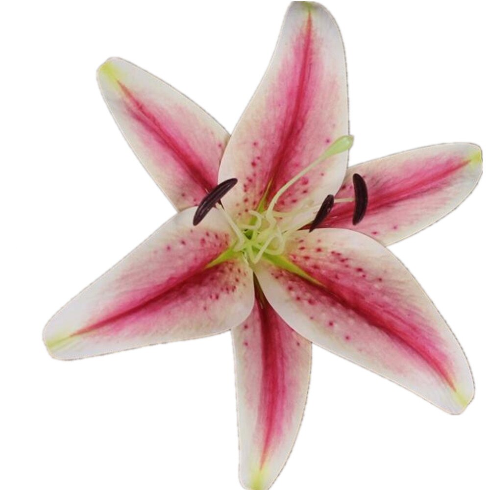 12 Uds Real toque de Azucena cabezas de flores 20cm PU Lily flor 8 colores