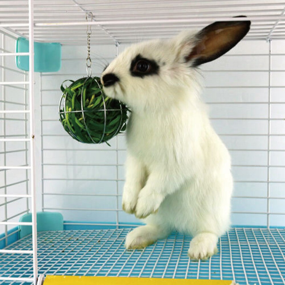 De acero inoxidable Pet conejo de juguete ronda esfera a prescindir de ejercicio colgando paja bola para Guinea cerdo Hamster rata