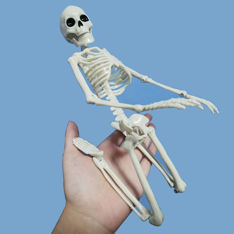 5 Stck Menschlichen Anatomie Skelett skelett Modell Medizinische Medizin Lernhilfe Anatomie 1 Paar Schädel Skelett Hand Knochen Halloween